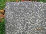 image of grave number 711236
